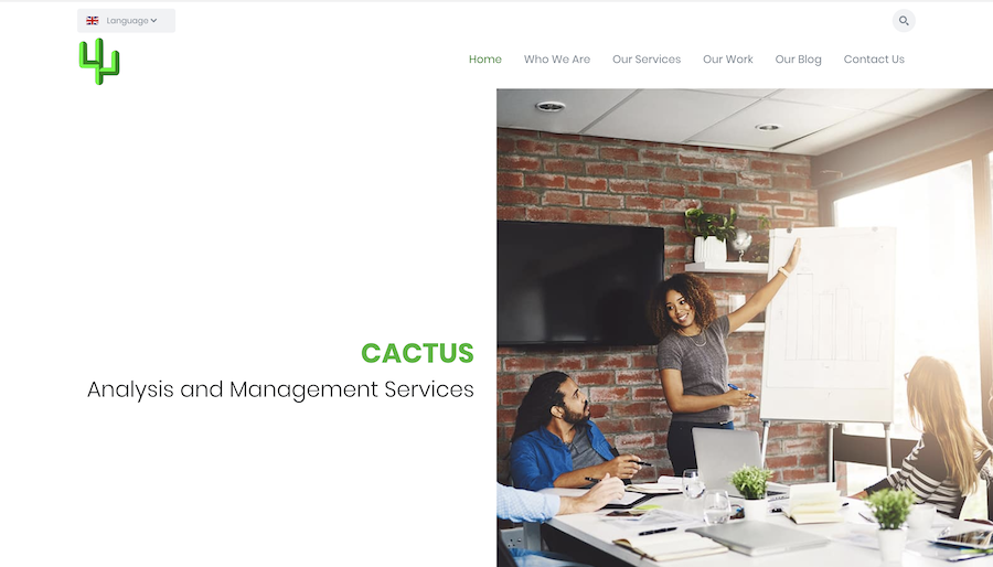 Cactus AMS | Web Design